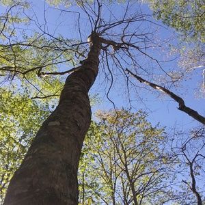 Meet your Posher, Bonnie